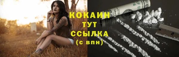 молекула духа Наволоки