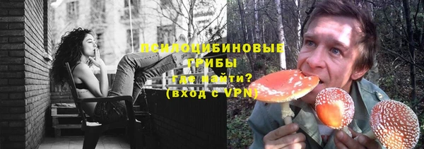 молекула духа Наволоки