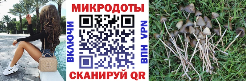 Псилоцибиновые грибы MAGIC MUSHROOMS  Плавск 